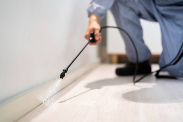 Licensed Termite Control service in Luce County County, MI - Nex Pest Control