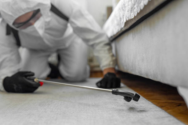 Professional Termite Control technician working in Luce County County, MI